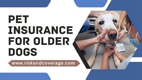 petplan insurance for older dogs.